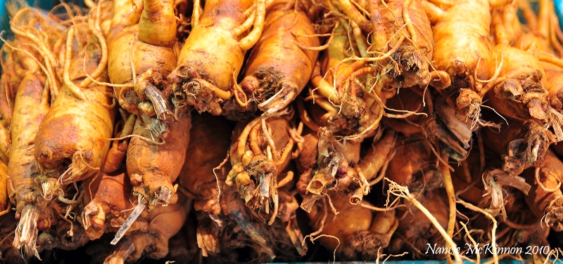 Korean Ginseng