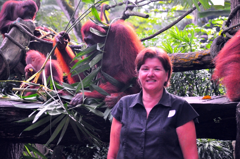 Breakfast with the Orangutans