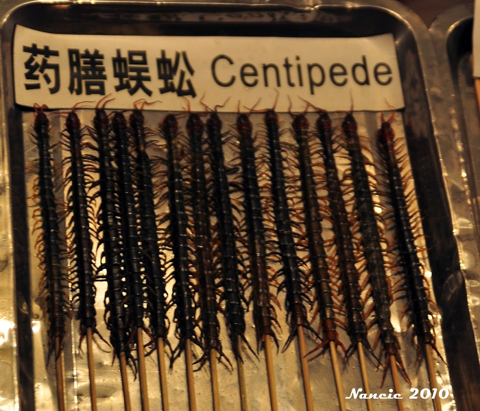 Centipedes 
