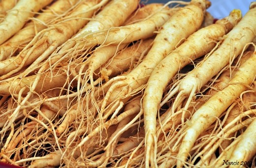 Wanderfood Wednesday — Tempura Ginseng