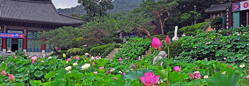Bongwonsa Temple — Serenity in Chaotic Seoul. Korea