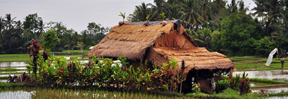 Travel Photo Thursday — August 23, 2012 — Favorite Bali Attractions in Photos
