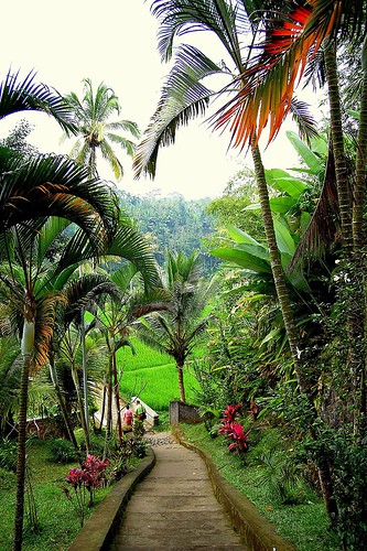 Traveling to Bali for Christmas
