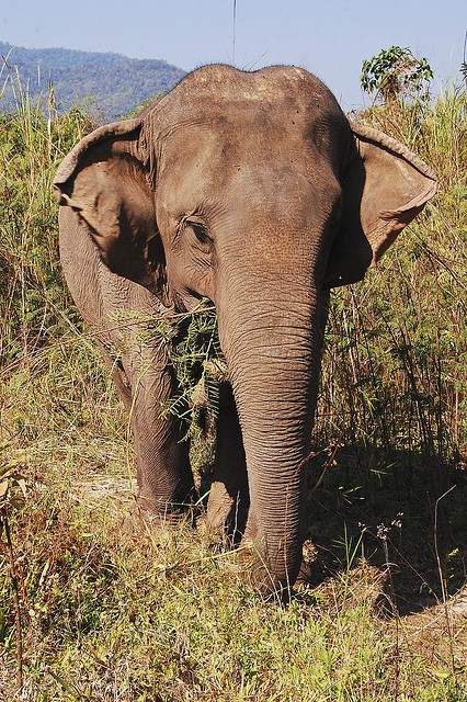 Travel Photo Thursday — May 30th, 2012 — Amazing Critters I’ve Encountered On My Travels