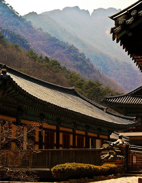 Springtime in Korea — A Photo Sampler