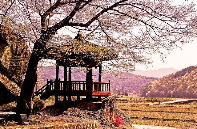 Travel Photo Thursday — April 26, 2012 — My Five Most Popular Travel Shots on Flickr