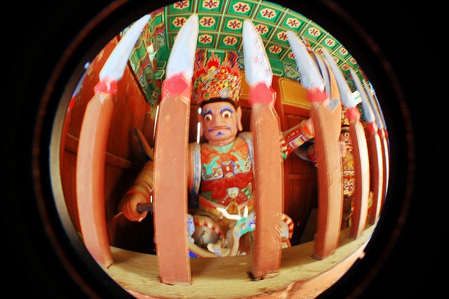 Travel Photo Thursday — November 9, 2011 –Through the Eye of A Fish