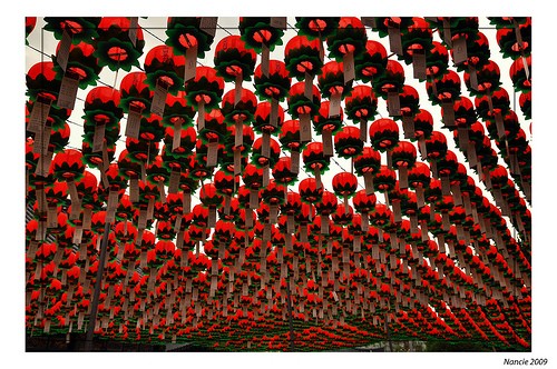 Travel Photo Thursday — December 8, 2011 — Lanterns for the Buddha