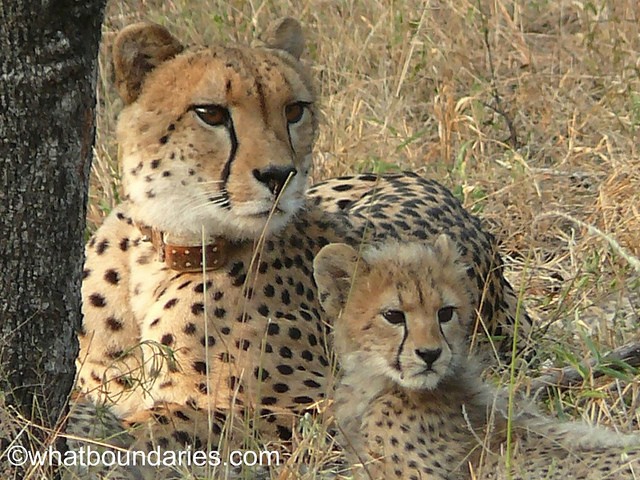 Travel Bloggers Weekly Travel Photo Choice — Week 2