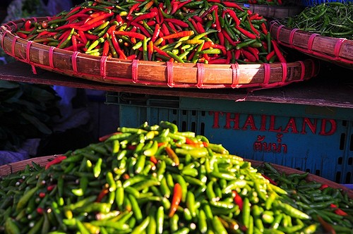 Travel Photo Thursday, February 24, 2011 — Chili Madness