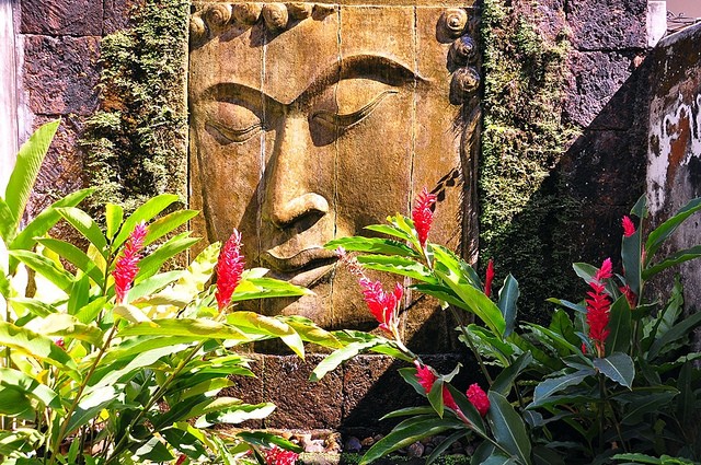 Chiang Mai — Through the Sandbox Lens #37 — A Calming Buddha at Vila Cini