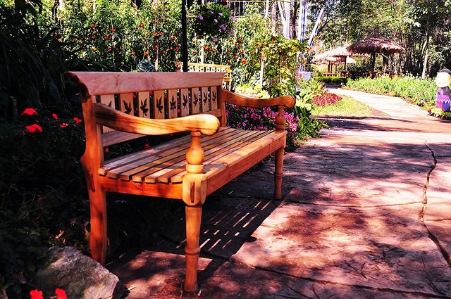 Travel Photo Thursday — March 8, 2012 — More Flowery Goodness from the Royal Flora in Chiang Mai