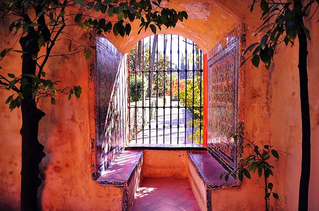 Travel Photo Thursday — February 16, 2012 — Seville’s Alcazar– A Delightful Garden