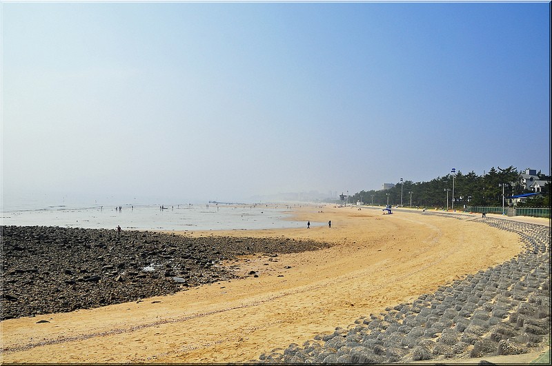 I’m Off to Korea’s Beautiful Daecheon Beach!