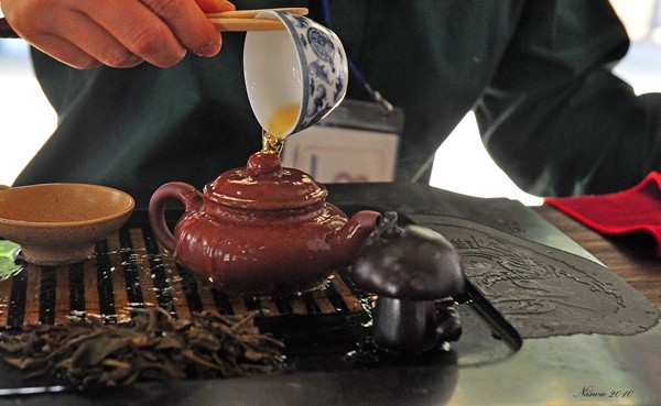 Wanderfood Wednesday — Sipping $400.00 Chinese Tea