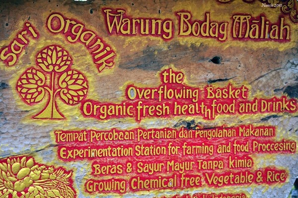 Wanderfood Wednesday — An Organic Treat — Ubud, Bali