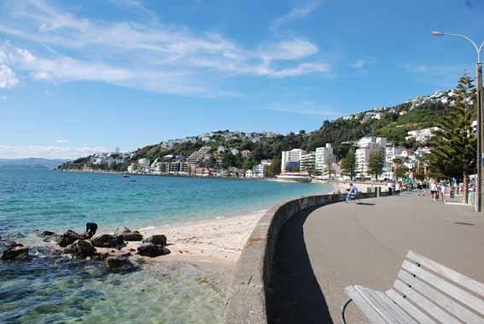 Blog4NZ: Three Budget Activities to See the Best Of Wellington