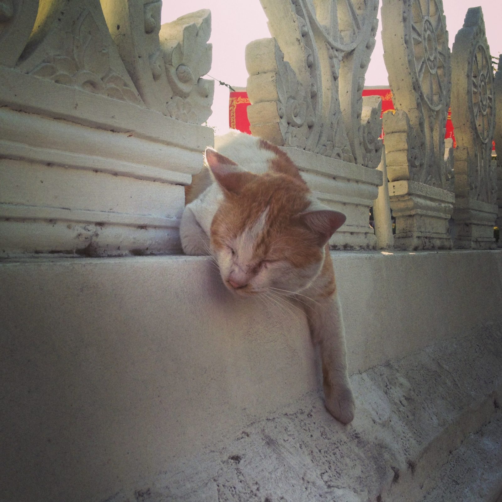 Through the Sandbox Lens #48 –Chiang Mai — Chilling at the Local Temple