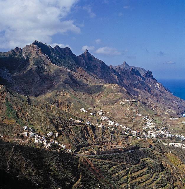 Finding the True Flavours of Tenerife