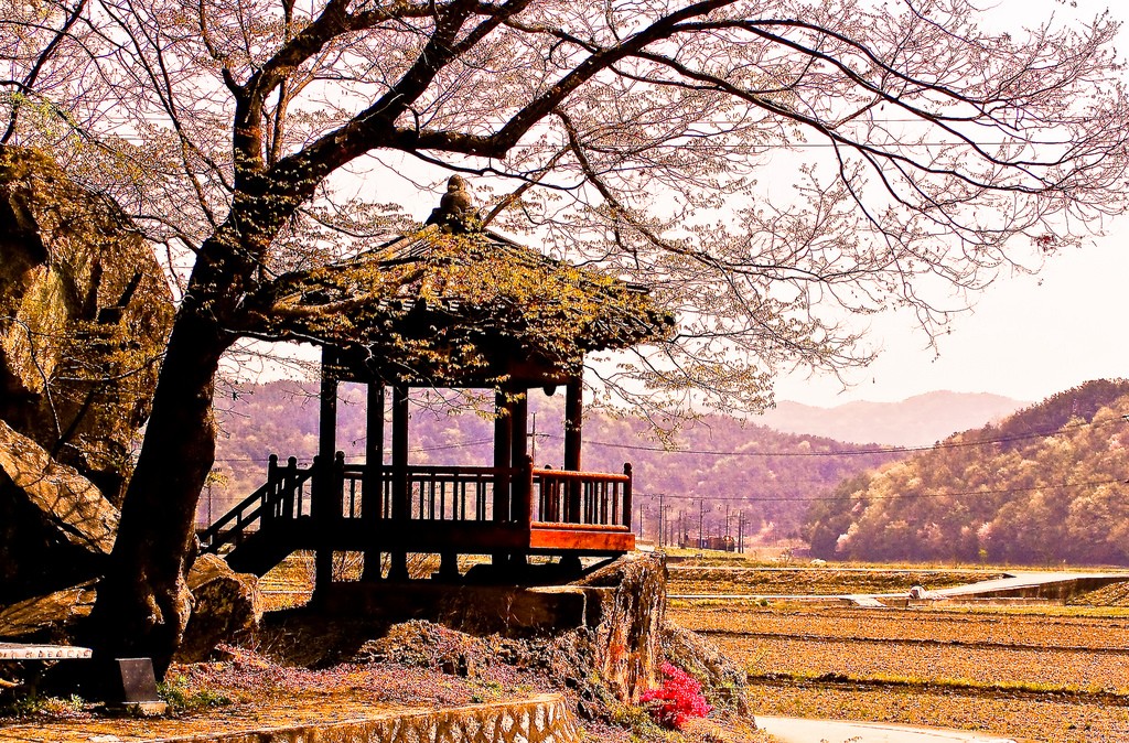 Travel Photo Thursday — March 6th, 2013 — On the Road in Korea