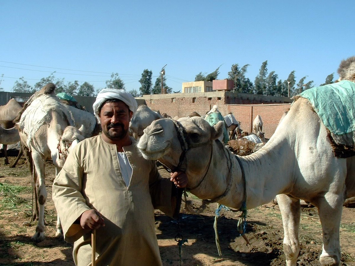 Egyptian Technology for #FriFotos