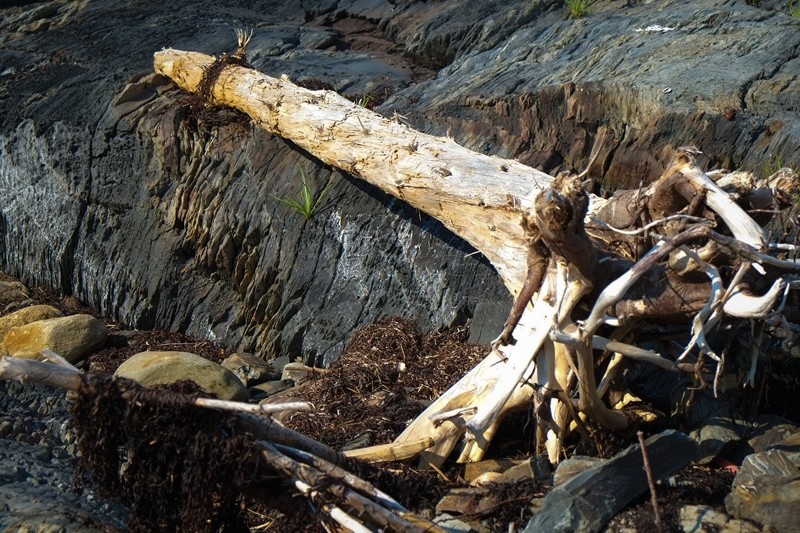 Blue Rocks Nova Scotia