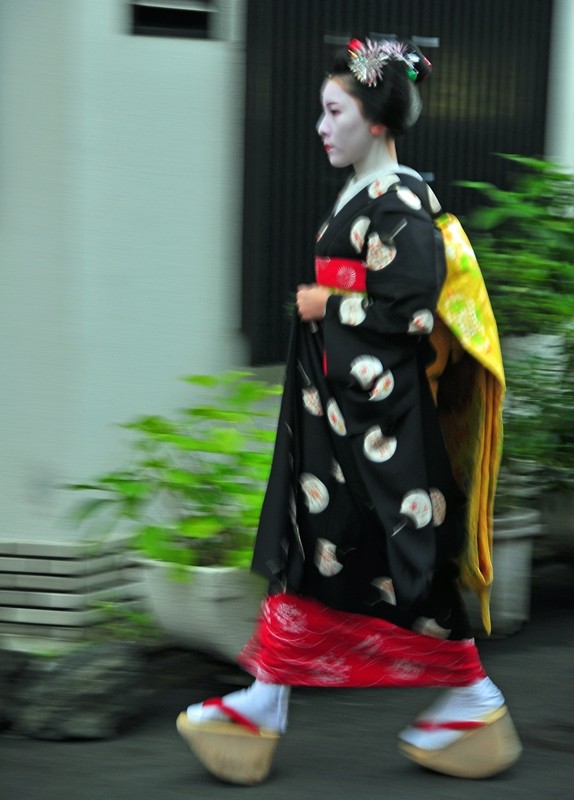 Geisha/Geiko walking in the Gion district of Kyoto, Japan