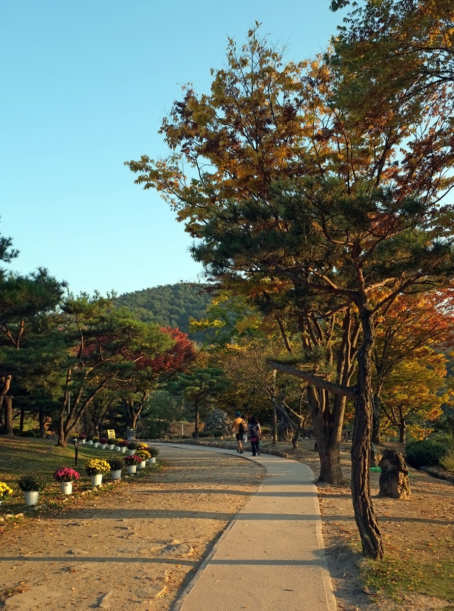 Cheongpung Munhwa Folklore Village, Danyang, Korea