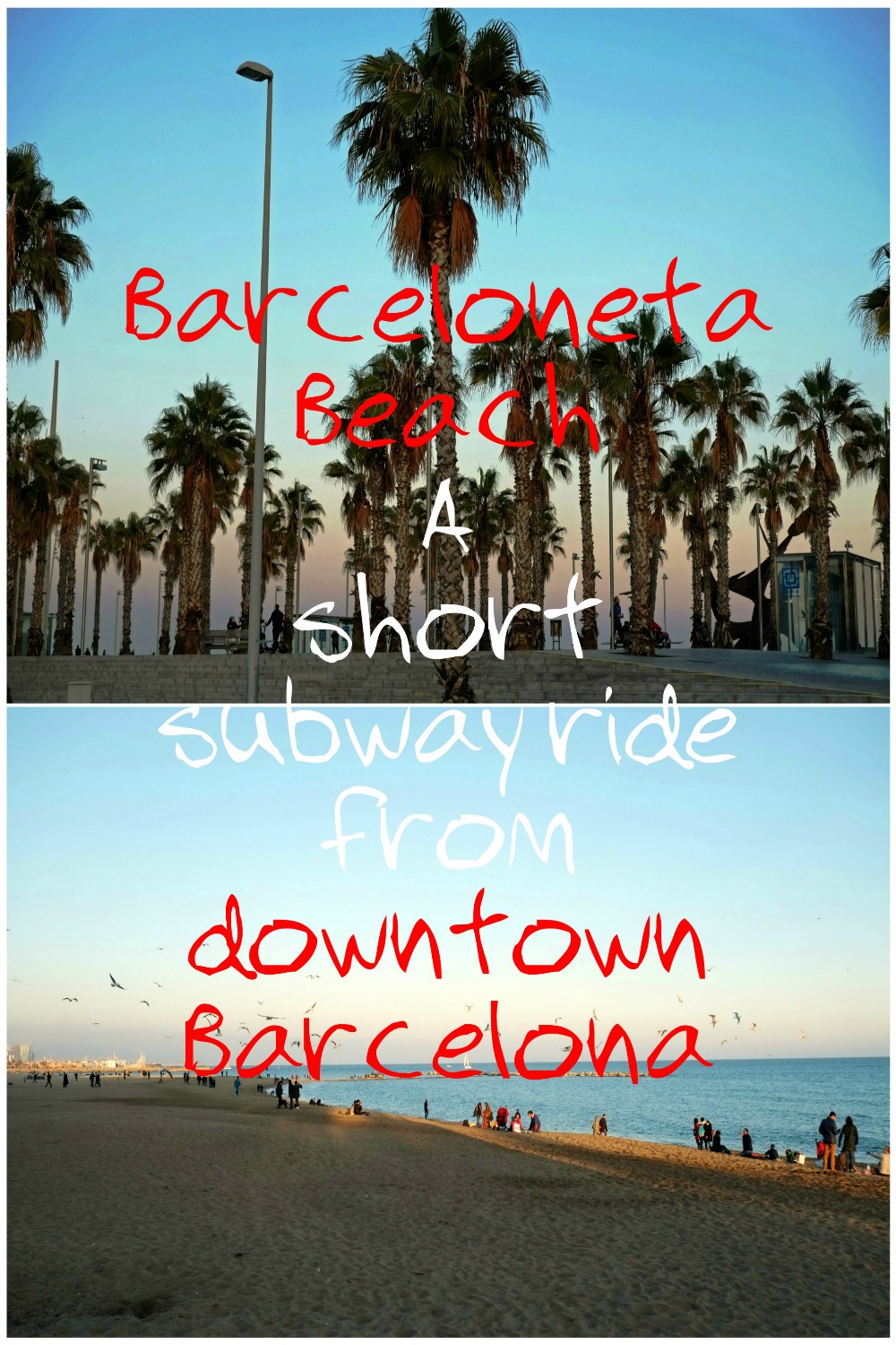Barceloneta Beach