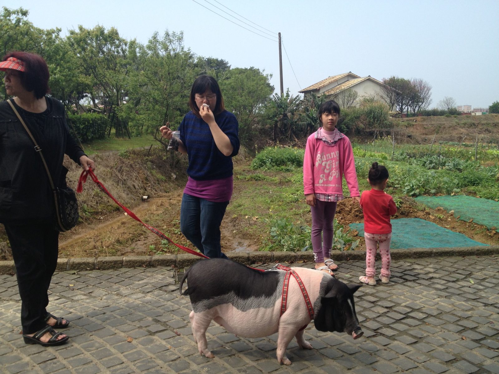 Sanzhi, Taiwan