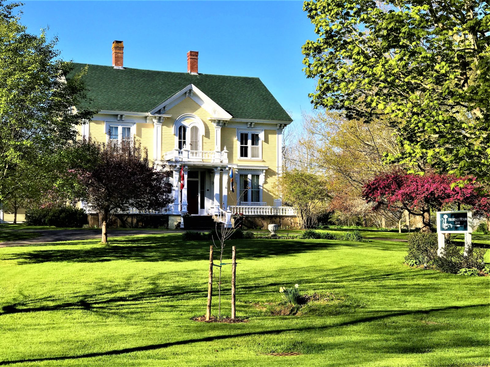 Annapolis Valley: Apple Blossom Magic