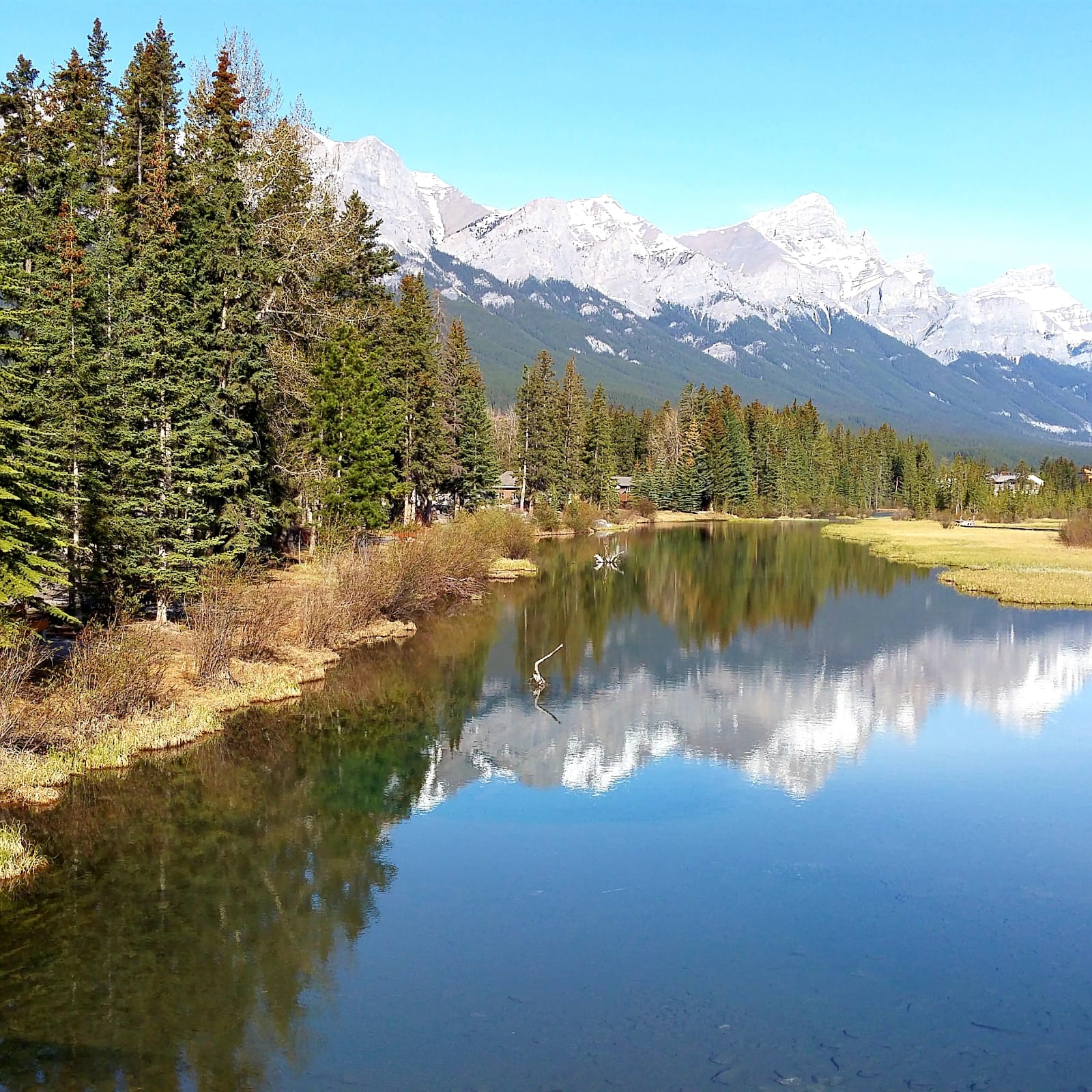 5 Fun Things To Do In Canmore, Alberta